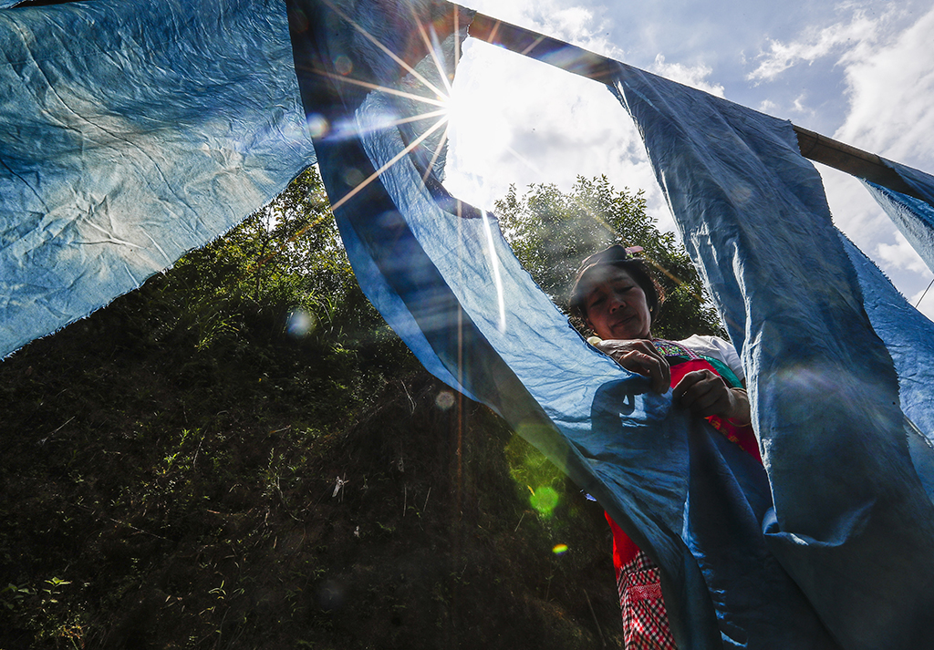 ӢկDŮӢһνȾĲϣ2023831ՔzAӛ  z