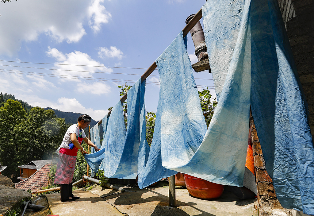 ӢկDŮӢһνȾĲϣ2023831ՔzAӛ  z