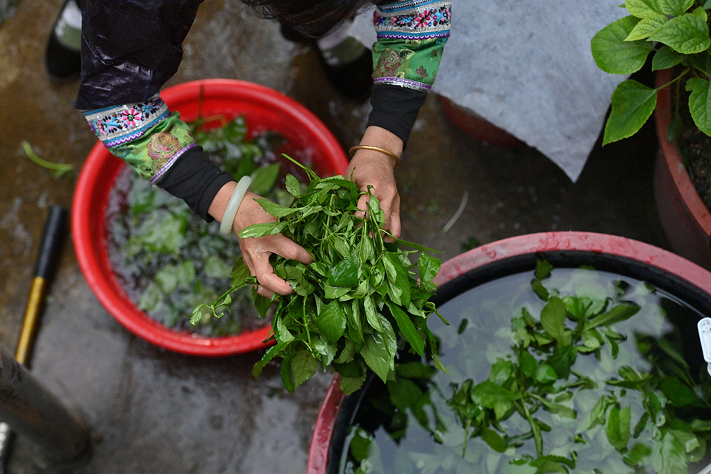 ӢկDŮӢɽȪˮ݄ո؁{ݣ2023829ՔzAӛ SТ z