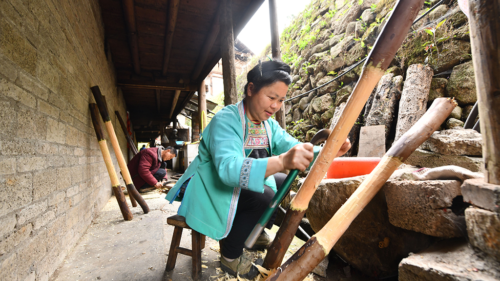 ӢկDŮúɷ鳣2023115ՔzAӛ SТ z