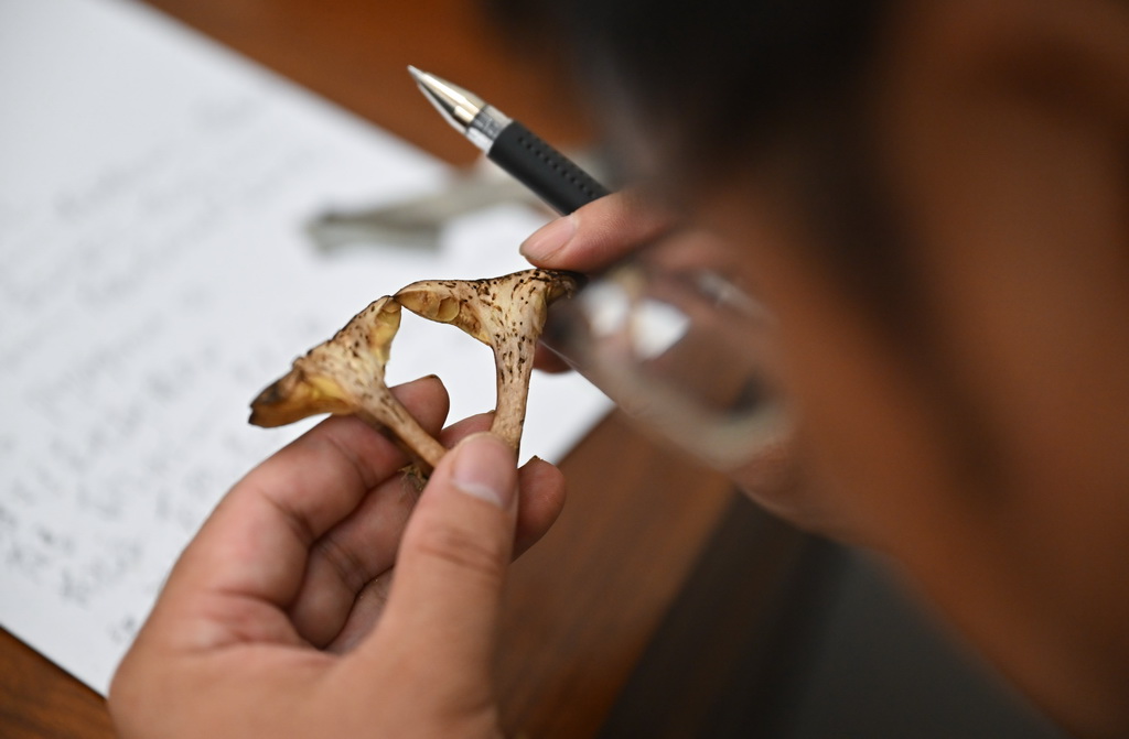 95_׃t޿ţξr˱Mӛ