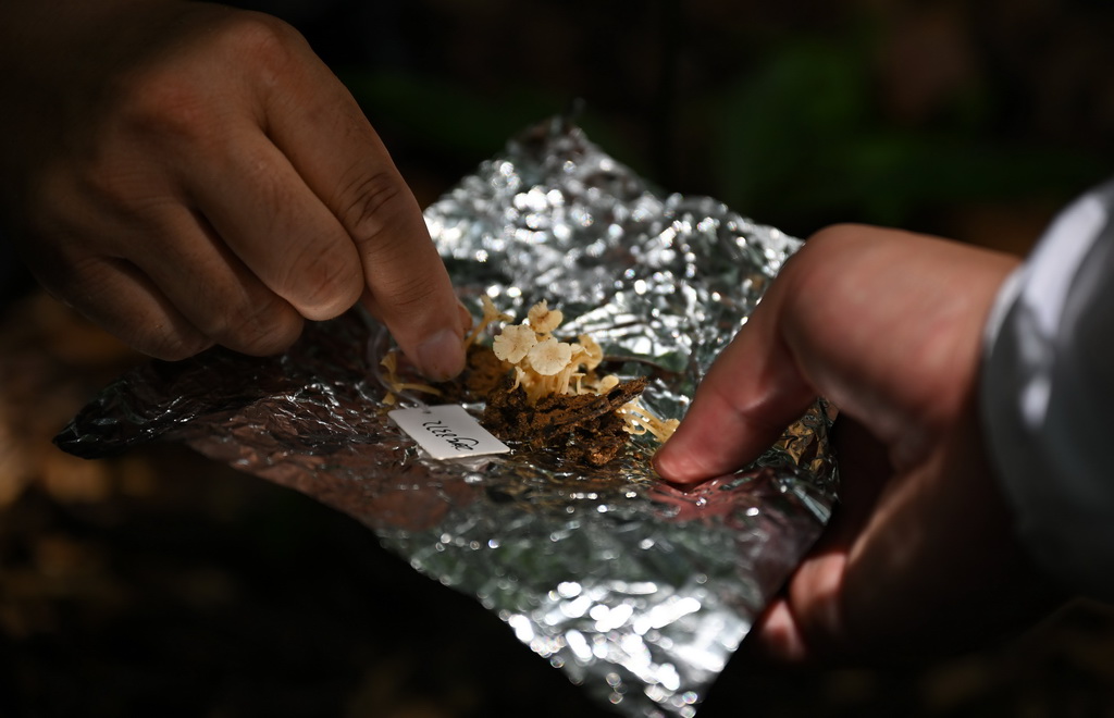 95_ںWXᎧֲɼһN°lFu;