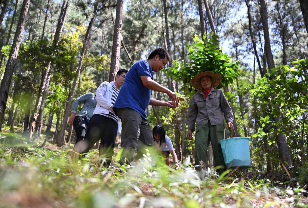 96_УָʡͤοhëlrNֲ`֥