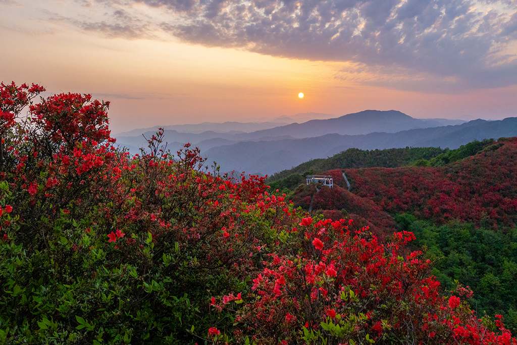 ƼlЏVկİTӳɽtҦz