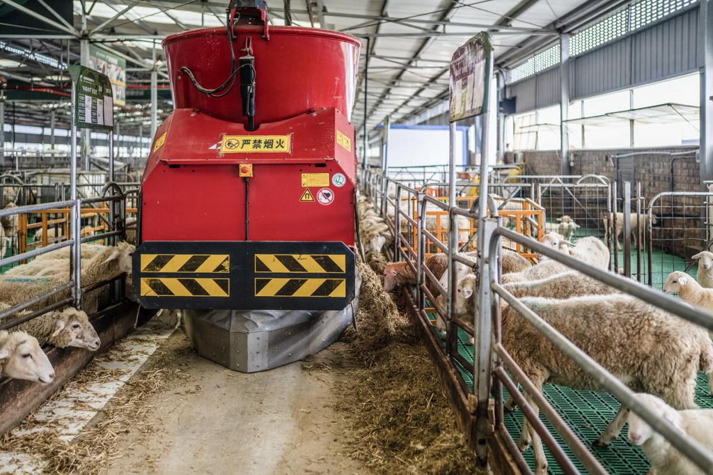  科技賦能，山羊出山 