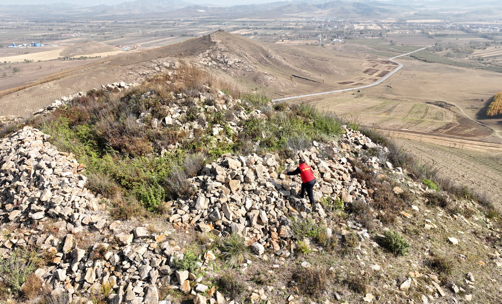 1011P܊Lһ_Ѳ飨o˙CƬ