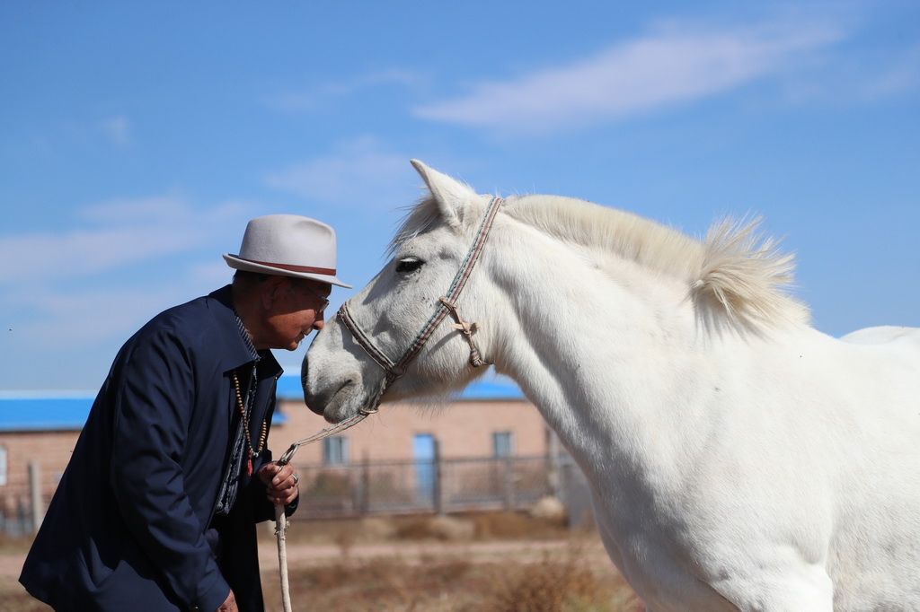 1016^HԼҵRƥAӛ  z