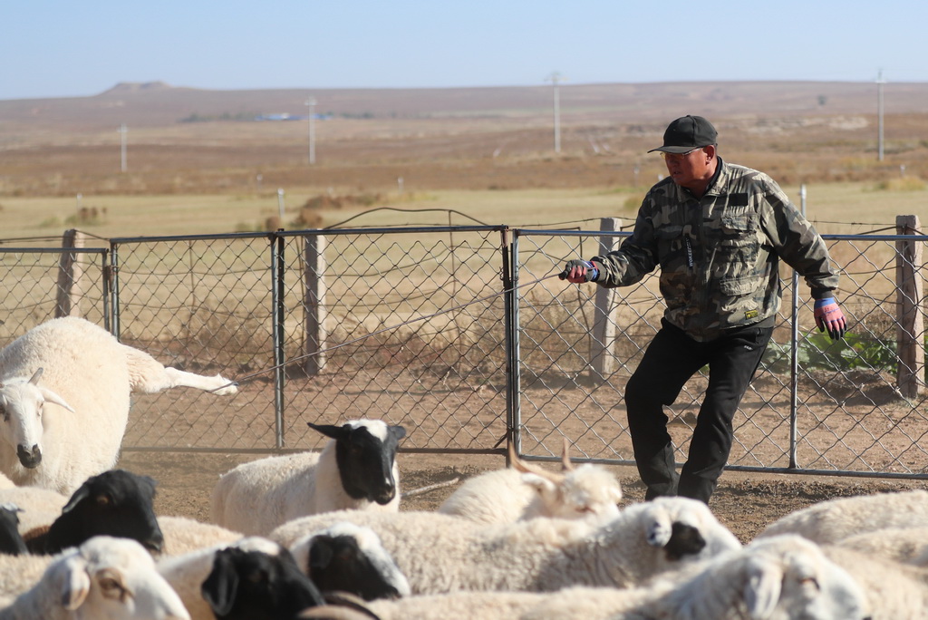 1016Ȧץʂд͵Aӛ  z