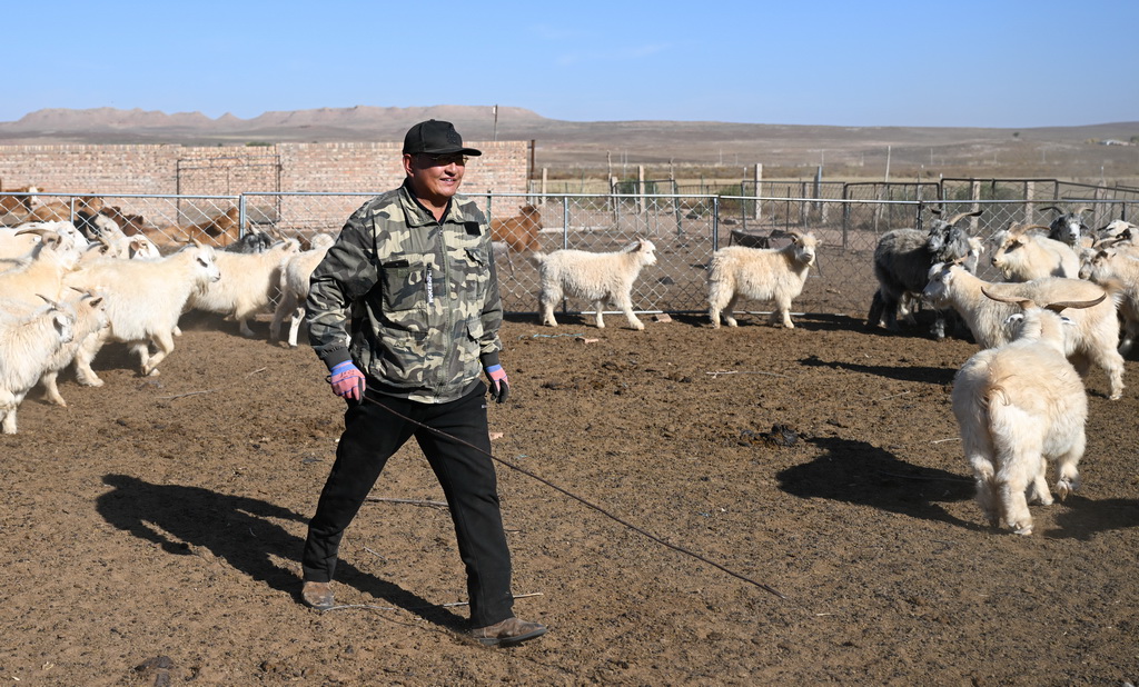 1016Ȧץʂд͵Aӛ ؐ z