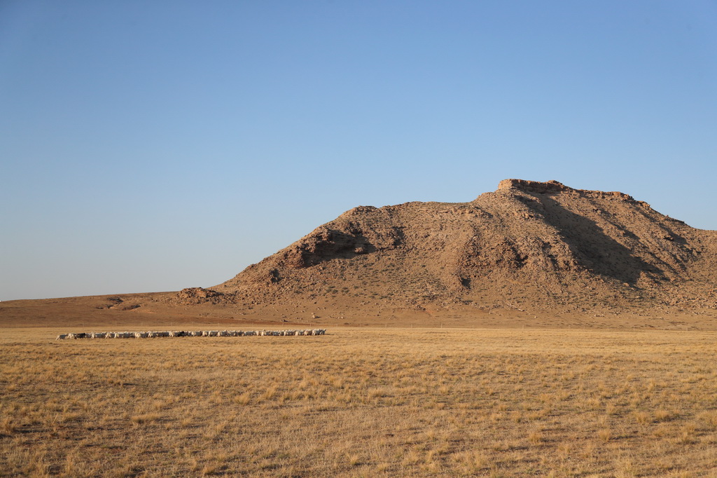 @1015ĔzĶ˹ԭLAӛ  z