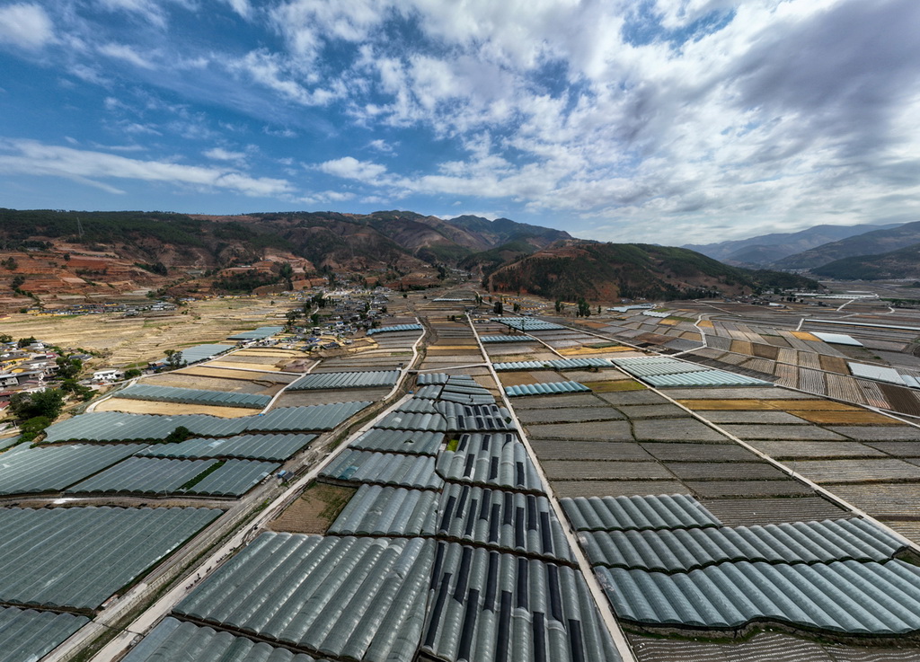 tĪ悬FrIaI@ѴGz