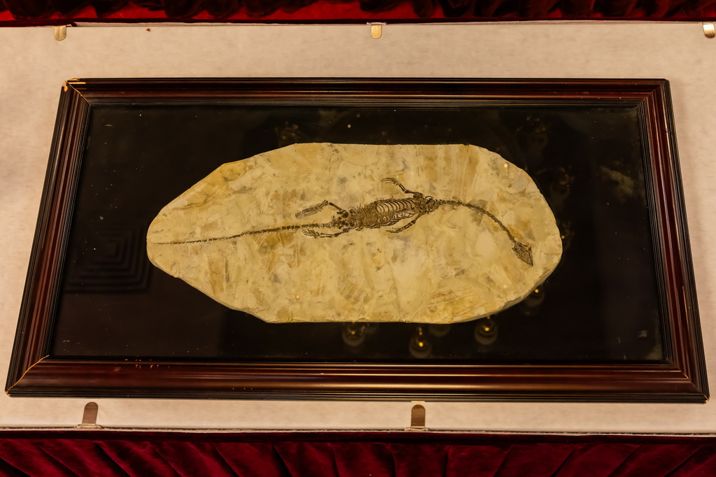 1025ڰĴ׶ЇvĴʹ^չʾķ߀٪_׈ʯ