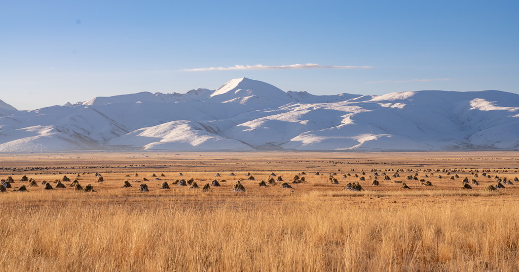 @خۿhһ̎1110ՔzAl_ z