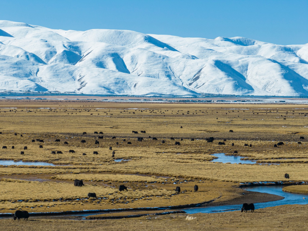  @خۿhһ̎1111Քzo˙CƬAӛ O z