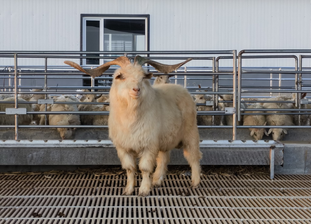 ٵ´ԄӻȦ924֙CƬAӛ Z z