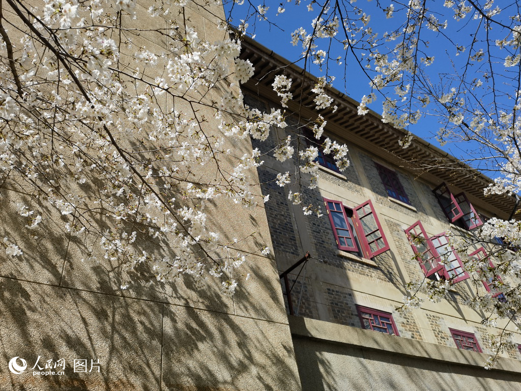 2023315hWѻϙѻʢ_ӰgڡѻǱϓuҷW z