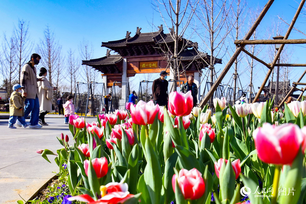 ۰Ĵ箋 Wӛ ΟĔz