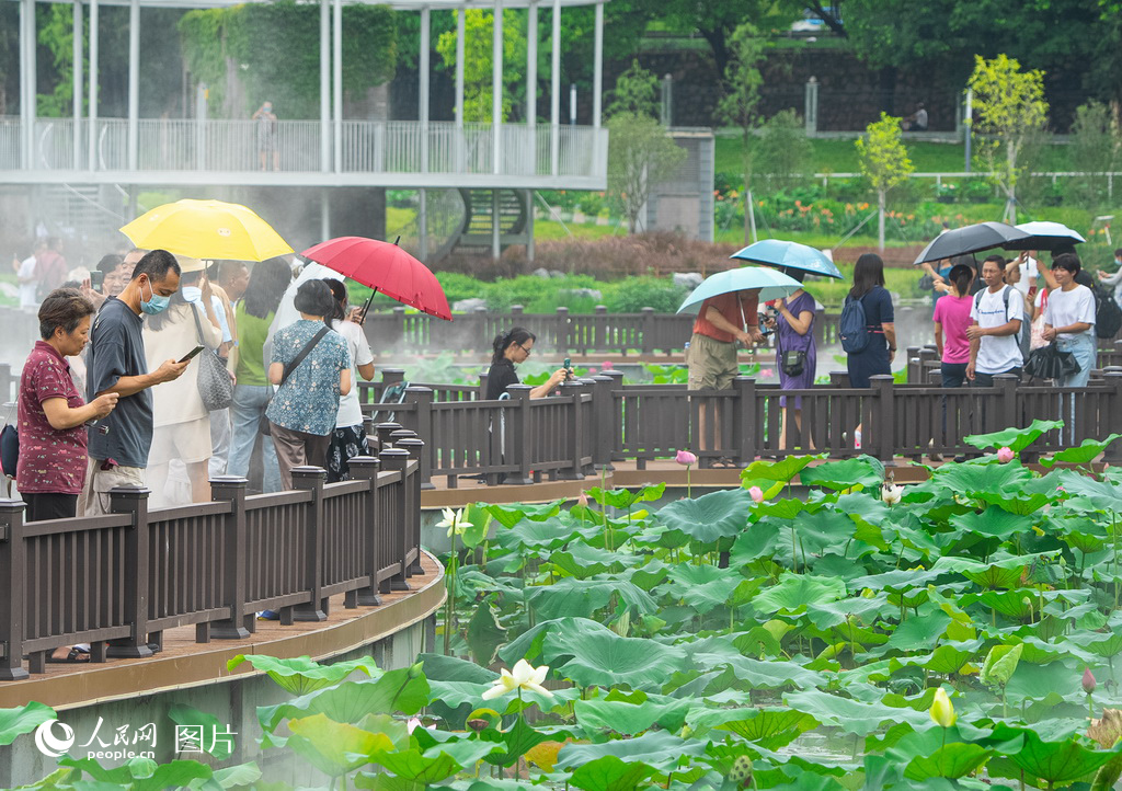 2023615_^@οpW ǔz