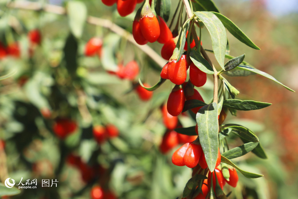 829λຣʡɹݵZľ轺ą^SWӛ tz