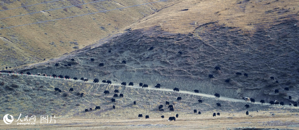 112ຣʡݾȺţҒʳWӛ tz