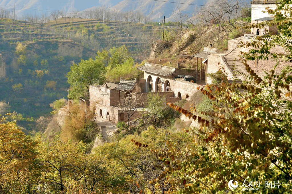 2023111ɽRhɽL箋WRiz