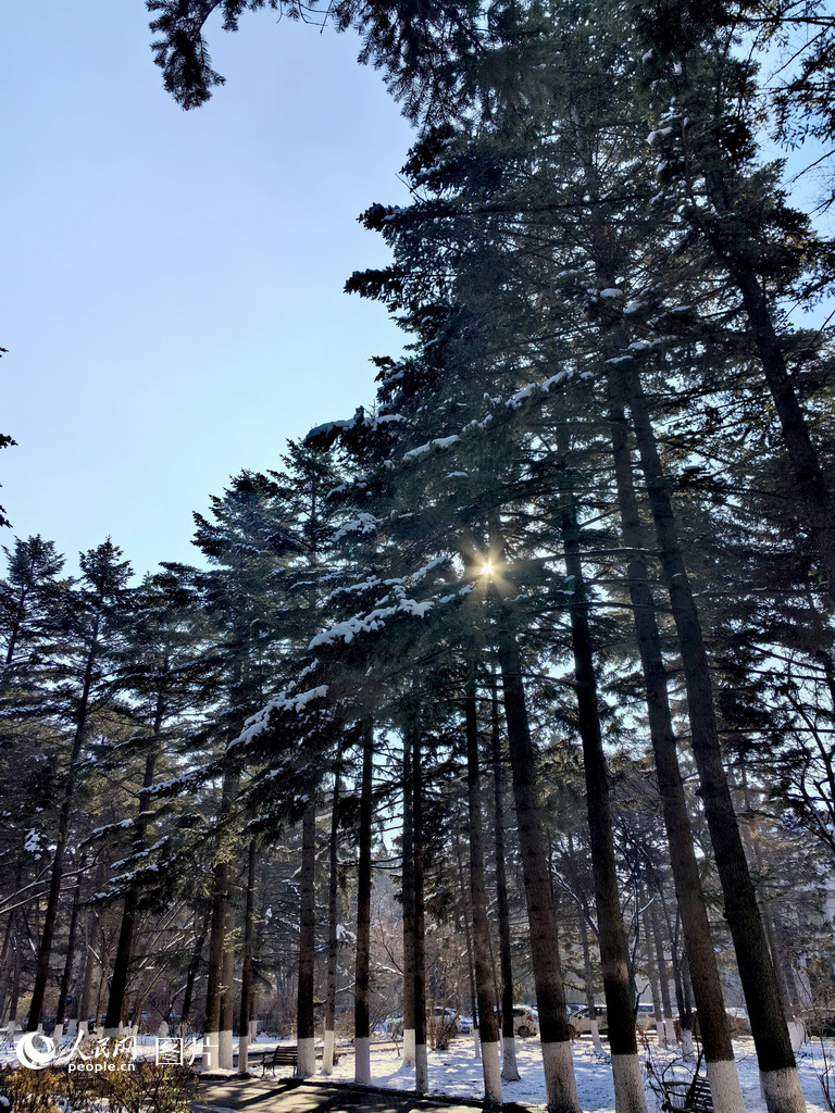 11³LѩGɘ֦^w}}ѩꖹ͸^֦p϶·һwWWlWӛ Sz