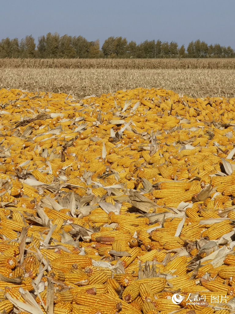 10ڼʡԭвlg^ͥԺ̎̎ҊSصSվWӛ z