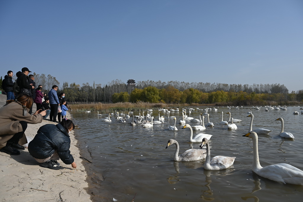 12rT{ZҳНع@ȺY꠵ĴZں߮Wӛ dz