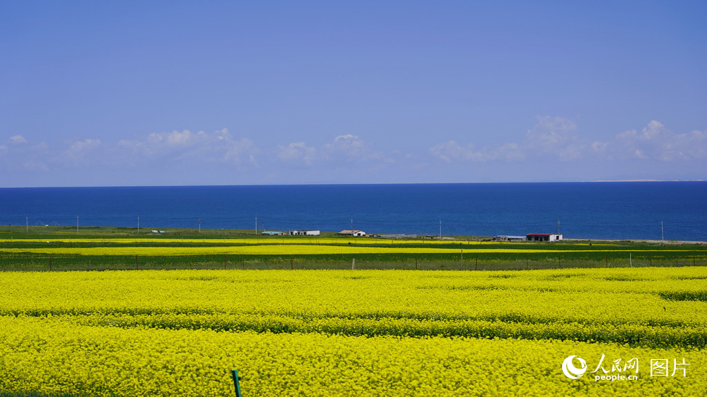 7ຣͲ˻_ʢWӛ tz