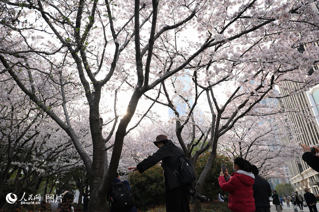 3ϺЖ|·FվһƬŭŵęѻ·vҼc@һĨ՚ϢӰWӛ ɯz