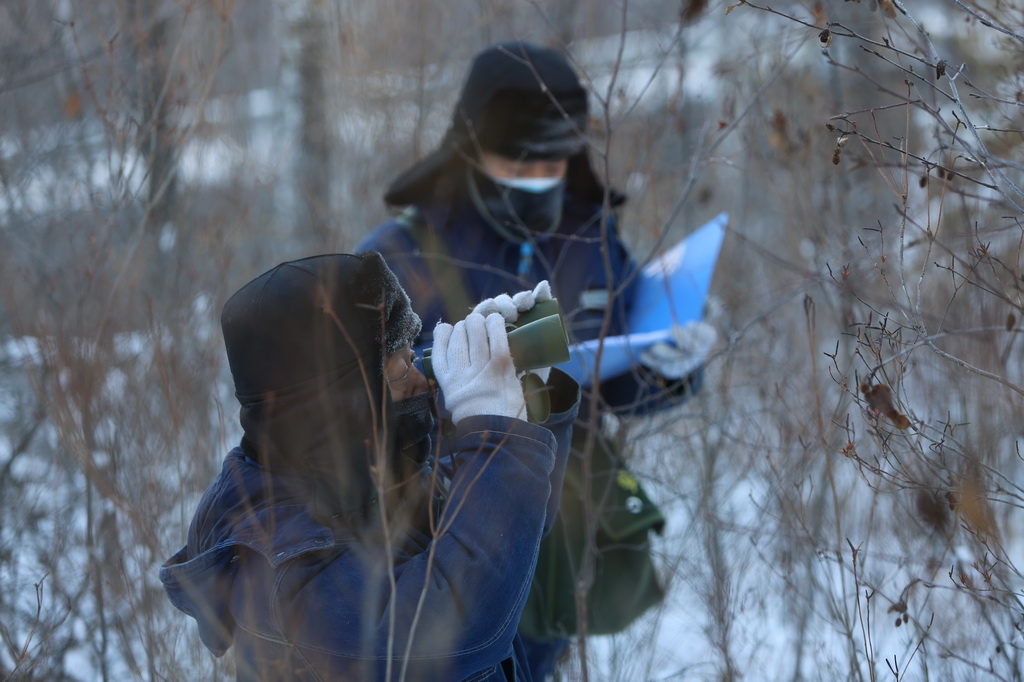 1223Įӹ늹˾OLν󣩺ͬͤѲAӛ  z