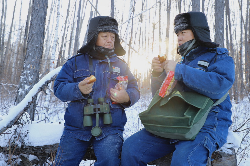 1223Įӹ늹˾OLν󣩺ͬͤѲ·;гAӛ P z