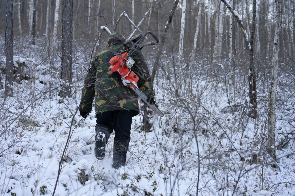 1224ںʡĮбO悱O߅һ̎IcĮֈˆTڠII·Aӛ ʯ z