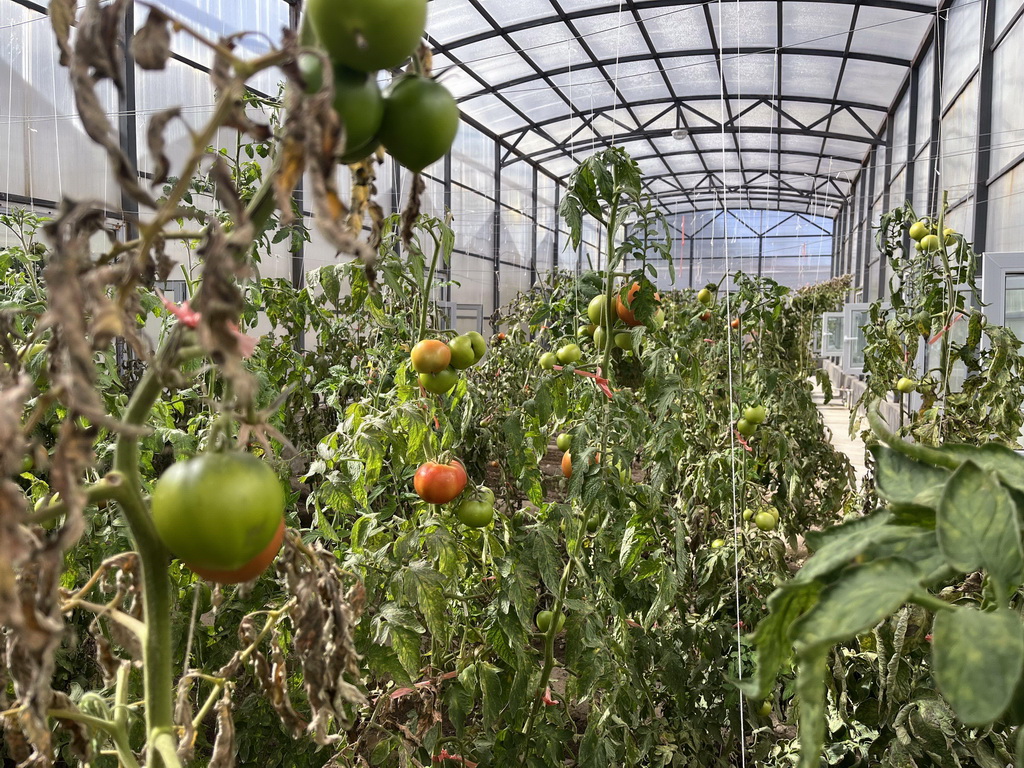 @2023923ڿK뾳߅zվꖹⷿĔztAӛ  z