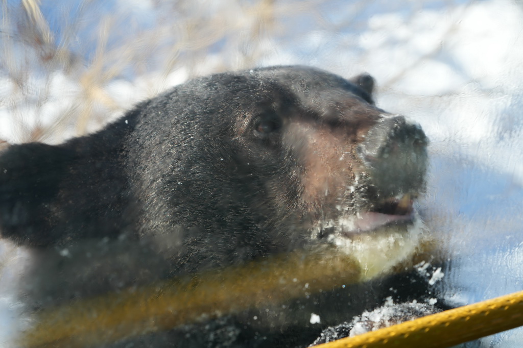 125ڡЇ|OʡhеĺϹӍu̽Ұ܈@cwBԽĿοͻAӛ  z