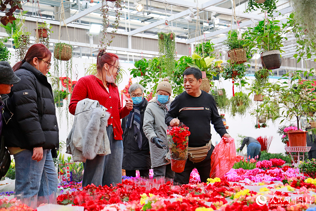 g^б悲fЈxُrWӛ ҫz