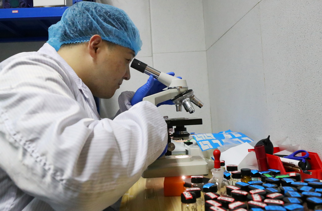 w粩ʿϺCW҃ʹ@΢R^PƬ229ՔzAӛ  z