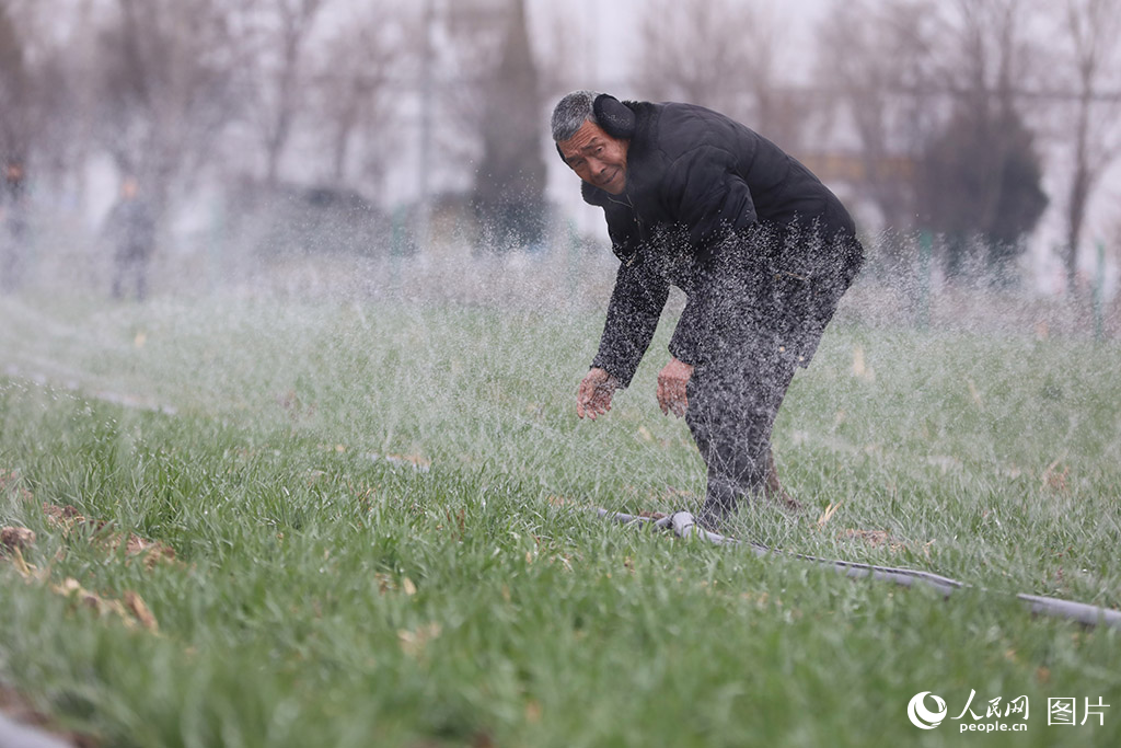 35ϜؿhSfnrgMЇIǔz