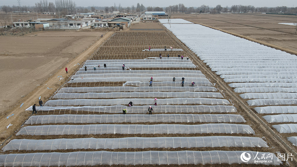 36RmhF悼tǴڞ鄂NµĲĸĤz