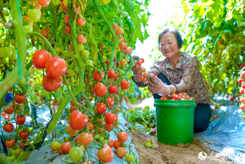 37ɽʡ\fshͨ悹߮aICϷræժʥŮZΔz