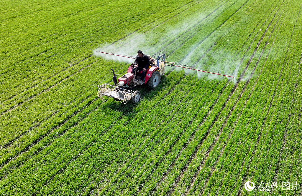 310ڰʡSǅ^pRr{rCСW݄z