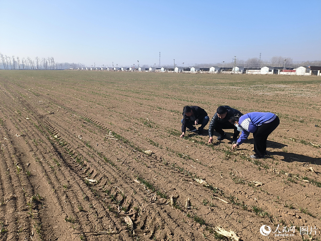 313ƽȵrˆTg^z