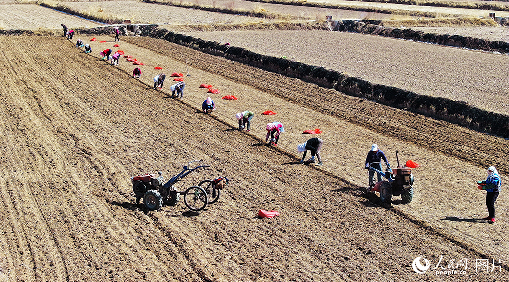 313CʡҴ񘷿hræԷNƤwՔz