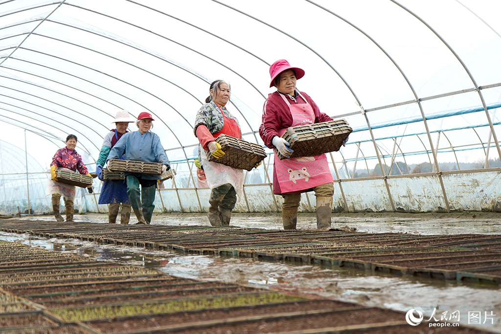 313ʡ˴ϸ߿hϪҴڰ\[P캣z