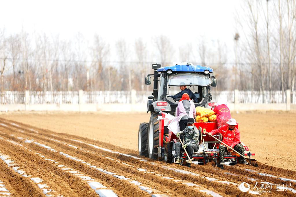 314  ɽ|RкӖ|^^ֵӖ|rlFRNֲRNCȡСMCеc˹YIoǡ ^ƽz