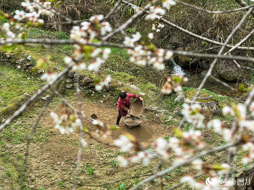 316ʡʩݶʩʢ҉悶կfů_rgڵغYxʂhz