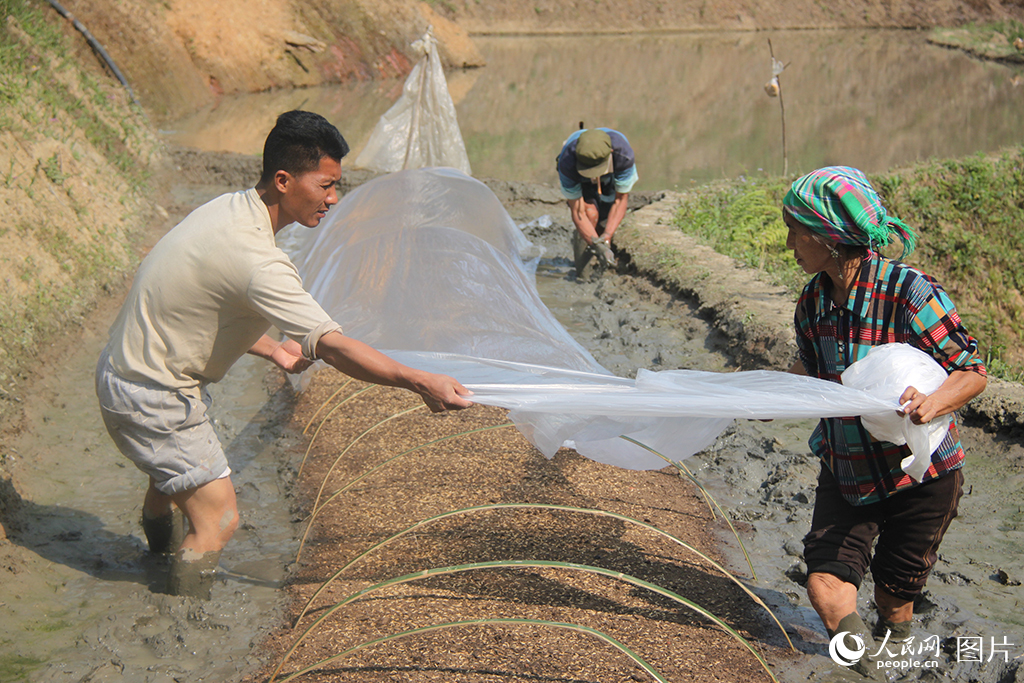 317ʡīοh悴սz