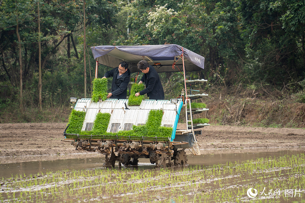 318ϰ|悸ִo{CһСrɲ߰ˮSӢz