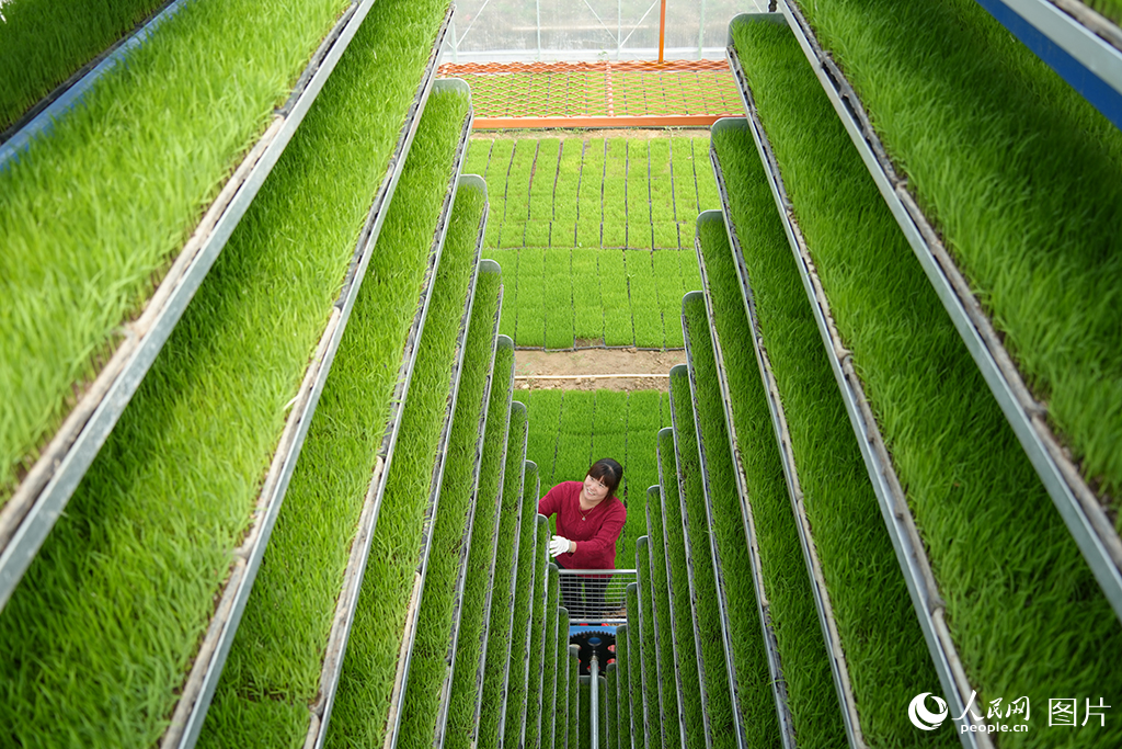 319ϰ|悸ִԡֻrI+˜ʻaģʽOrᡱ˹S1520ͿһȂy﹝s7ЧʺƷ|SӢz