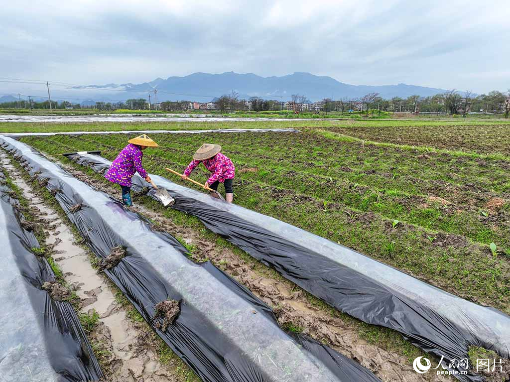 319ںʡеhܴrgwĤYz